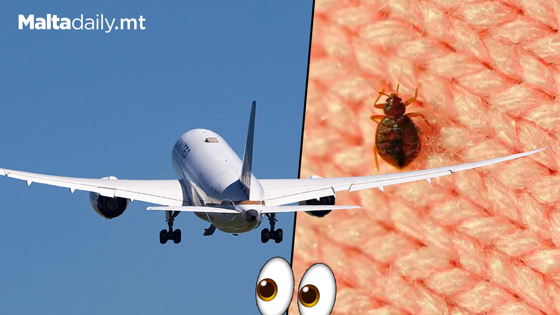 Are You Travelling Soon? Here's How You Avoid Bed Bugs!