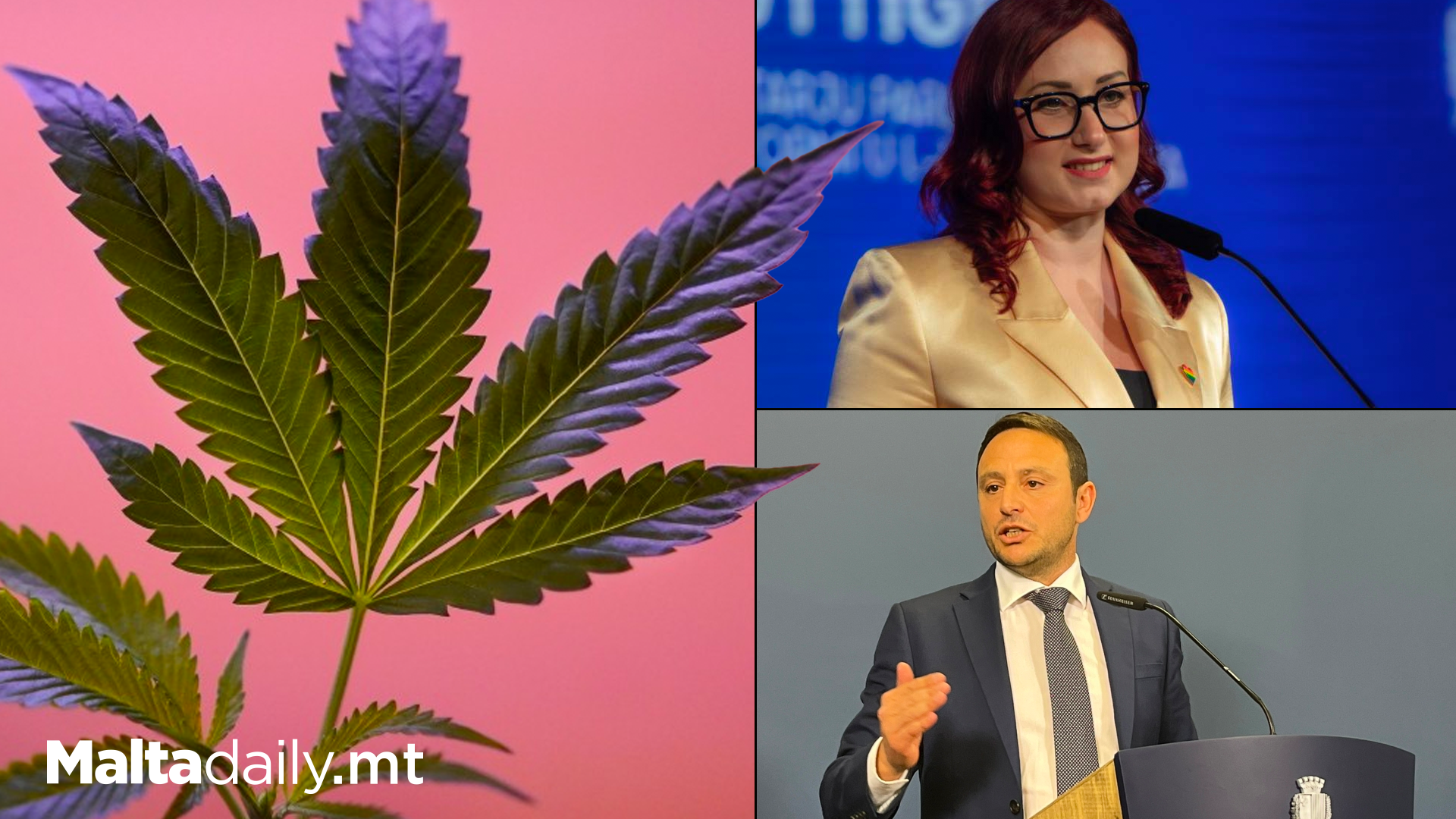 First 2 Maltese Cannabis Clubs Given Operational Licenses