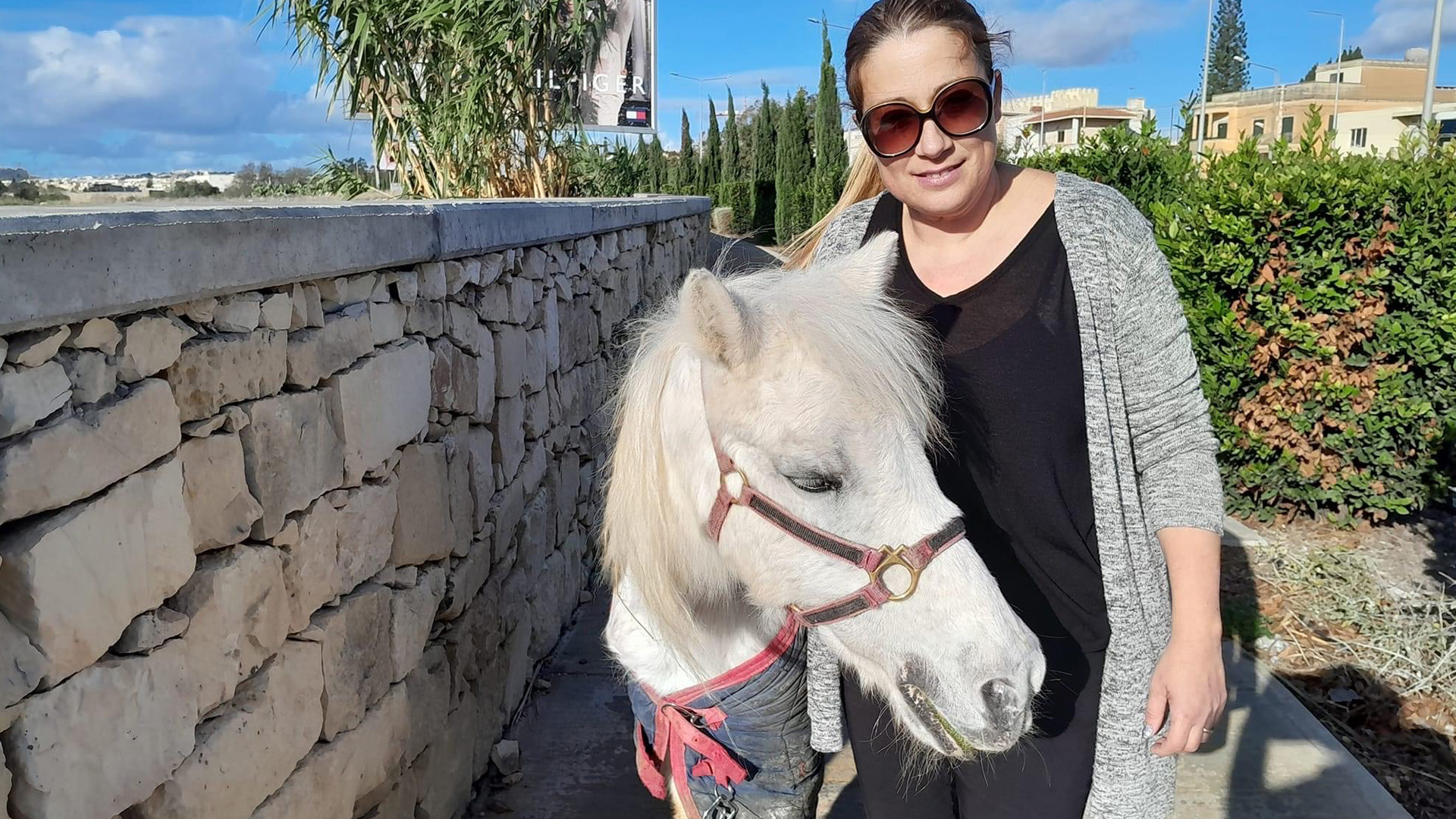 Woman Who Rescues Runaway Horse Urges People To "Be Kind"