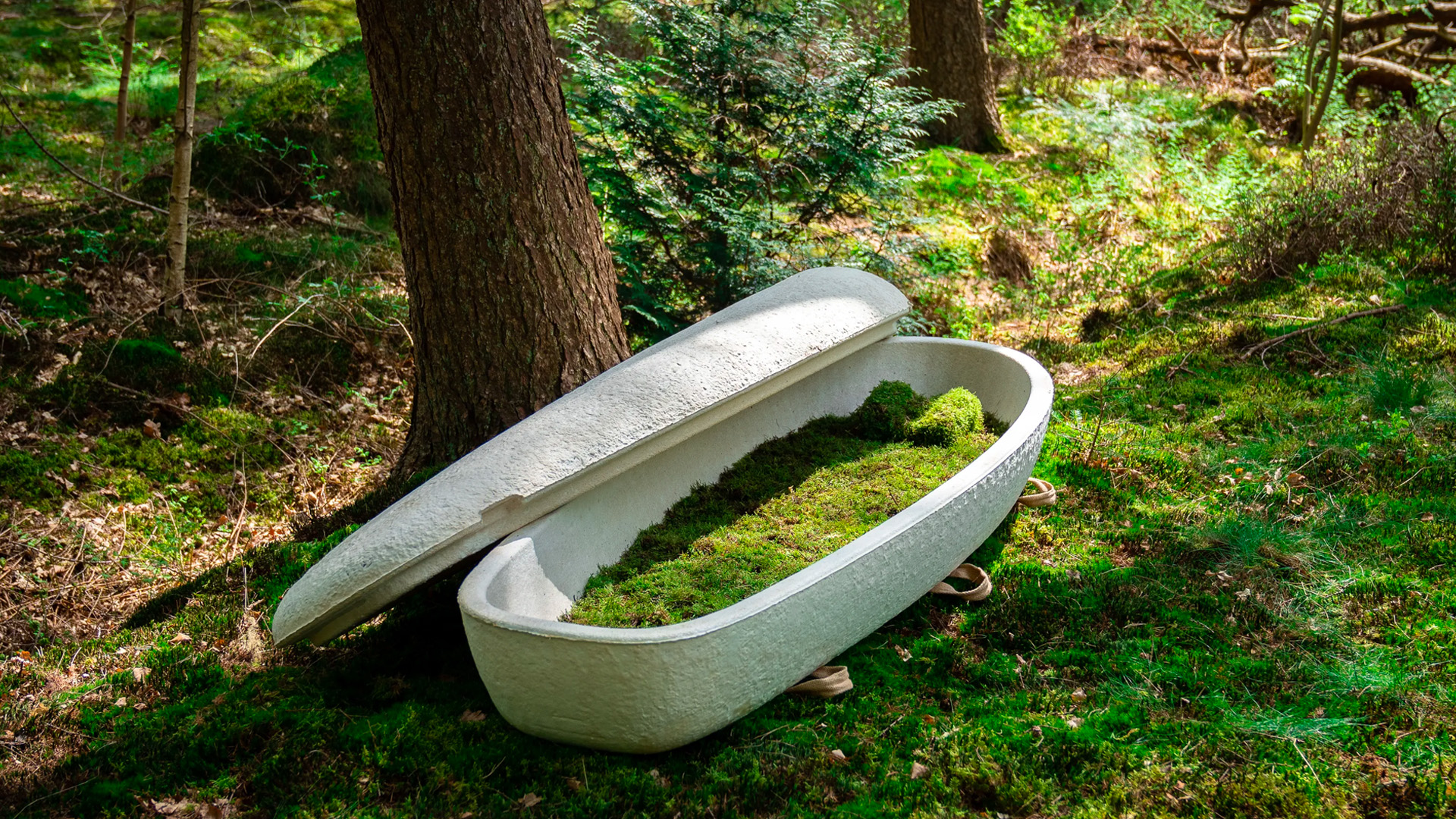 Biodegradable 'Living Coffins' Give Bodies New Life After Death