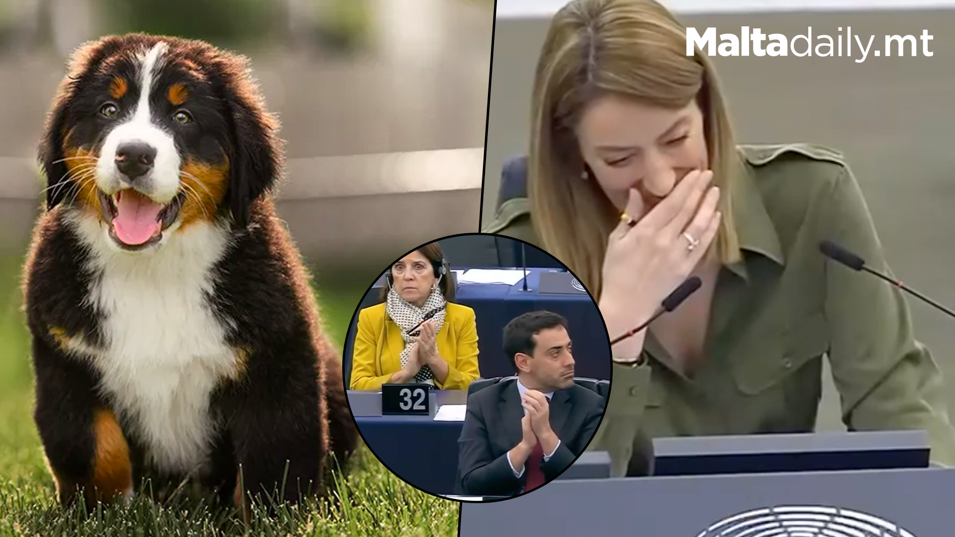 Dog Barks Interrupt European Parliament Plenary Session