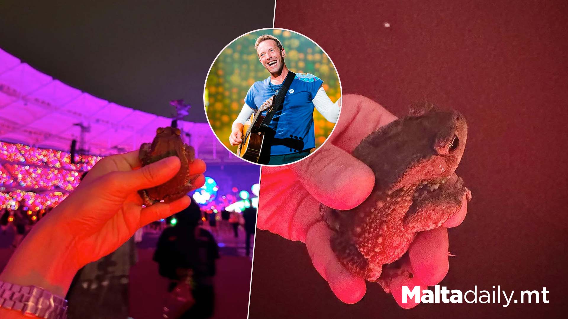 Frog Attends Coldplay Concert For Free