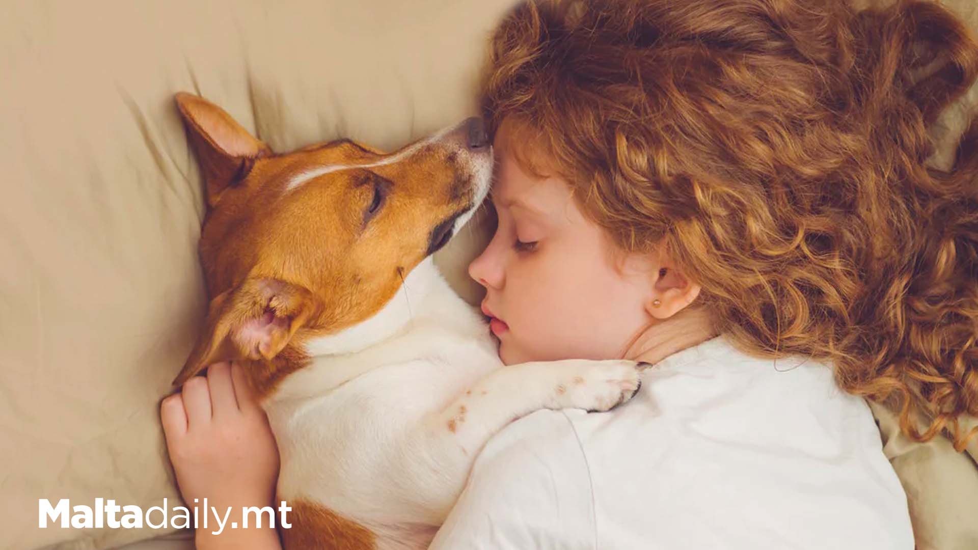 Sleeping Alongside Your Pet May Help With Mental Health