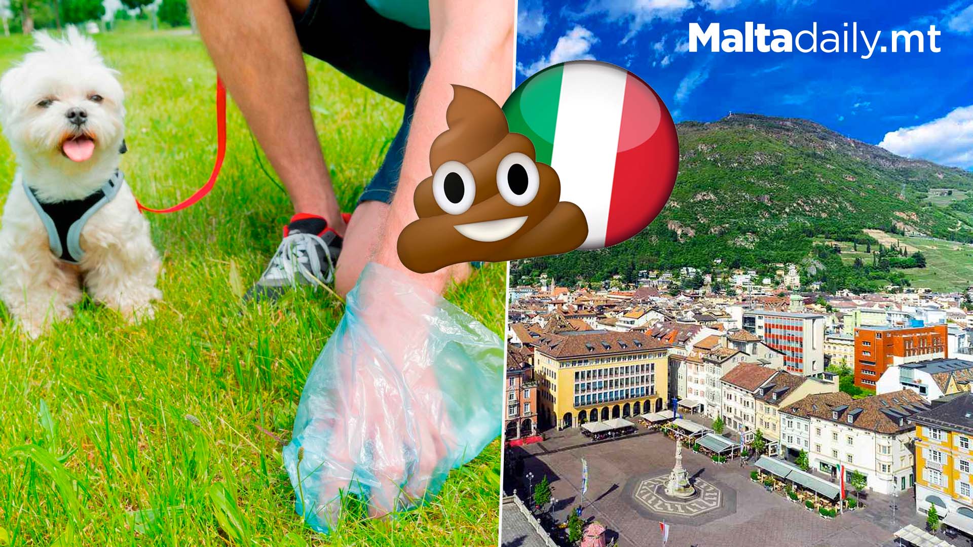 Italy Town Cracks Down On Dog Poop With DNA Mandate