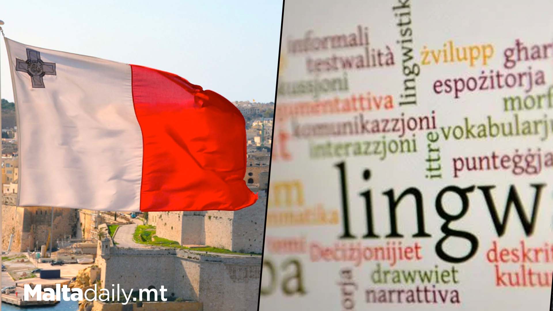 84.3% Agree Foreigners In Malta Should Learn Maltese Language