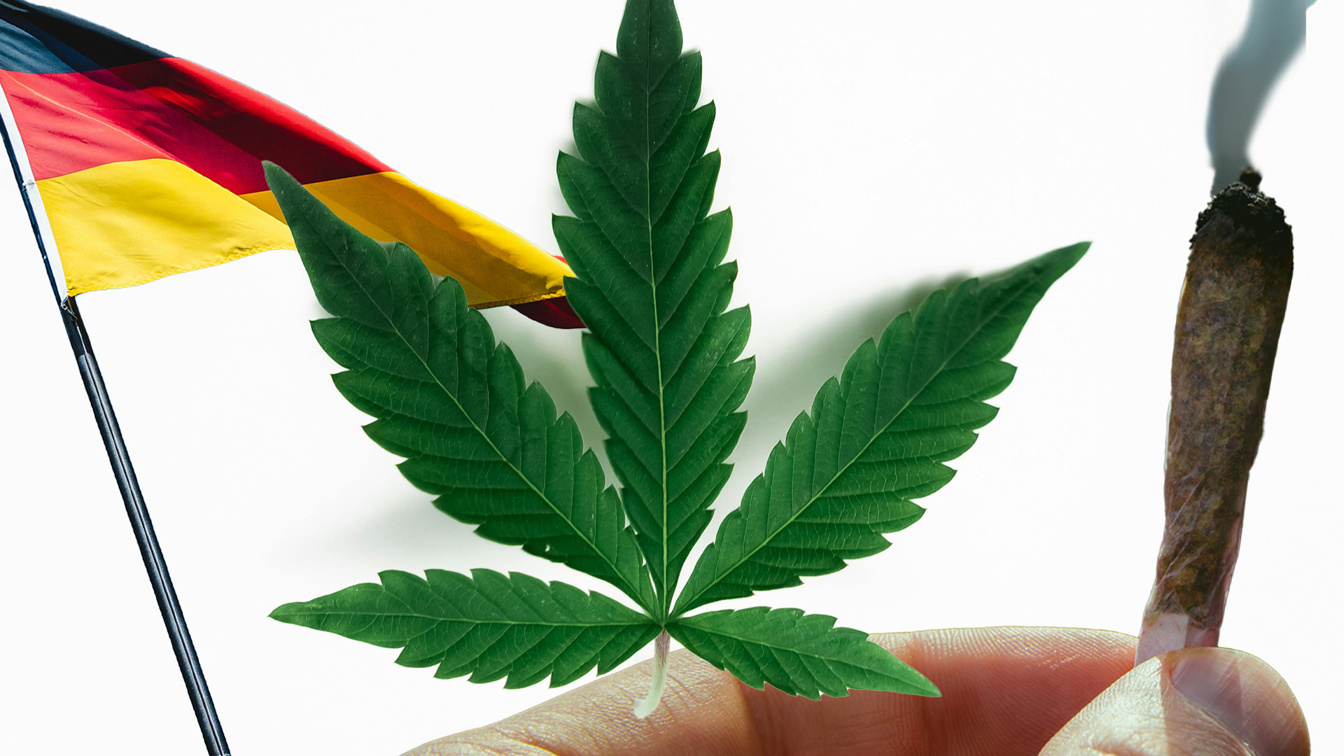 Germany Legalises Recreational Cannabis for Personal Use