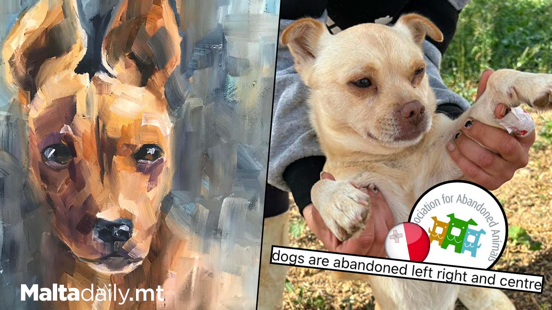 Local Artists Pain Abandoned Dogs To Raise Money For Shelter