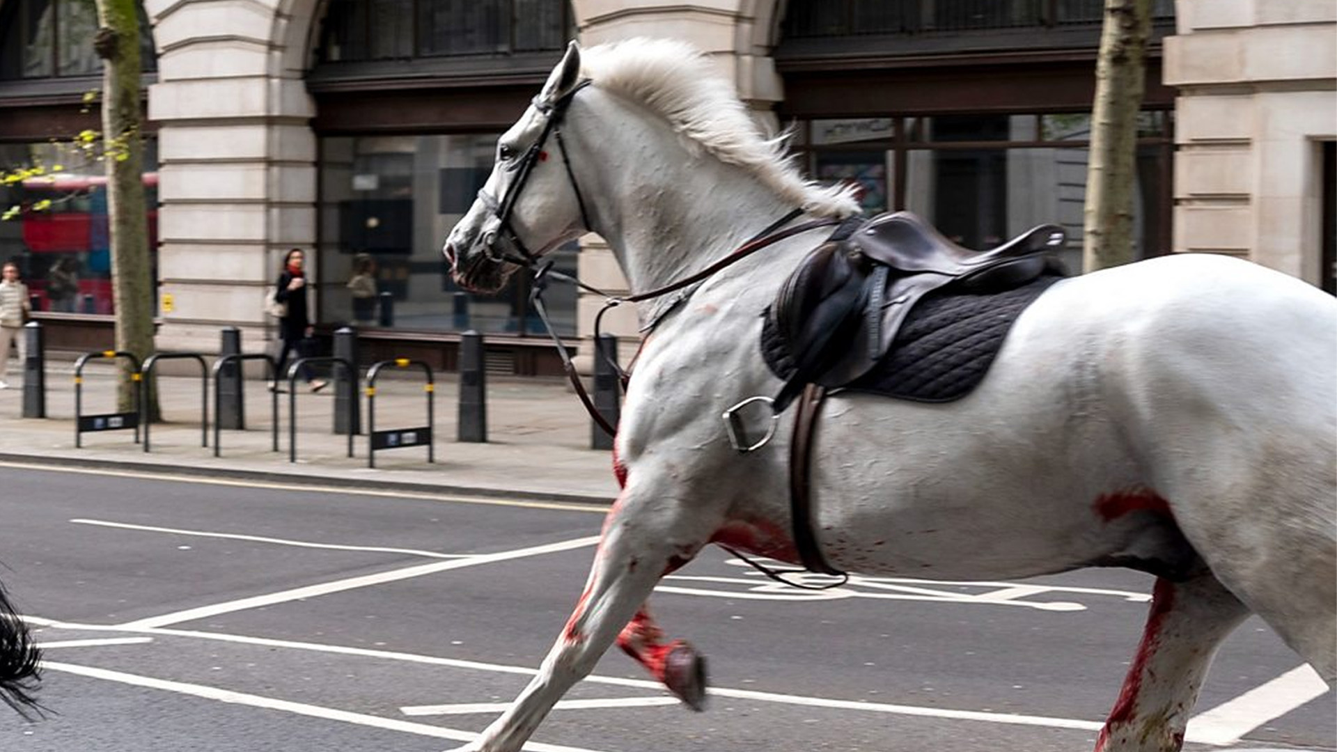 Blood-Covered Horses Charge Through Central London