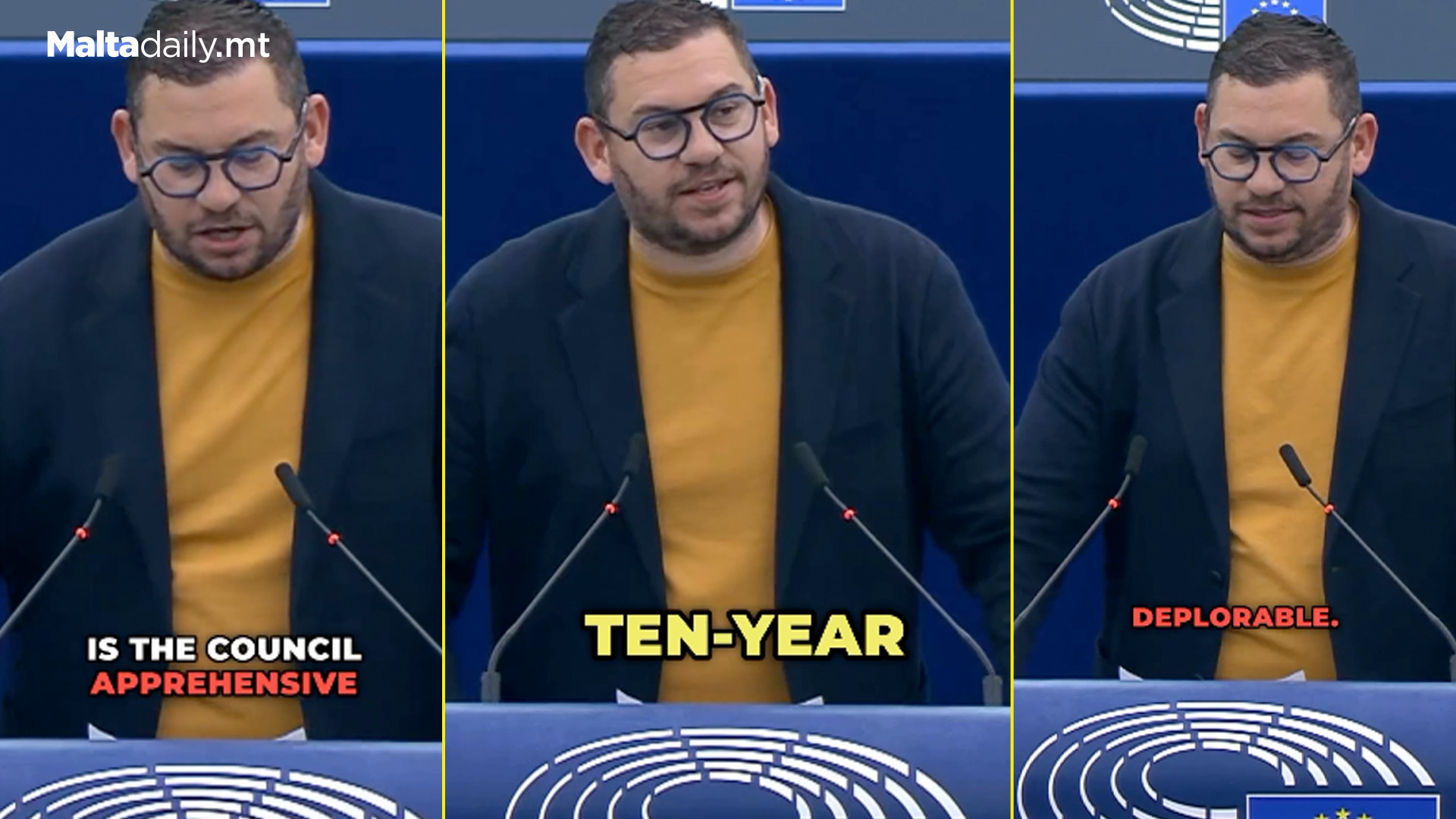 MEP Cyrus Engerer Delivers Speech In French At EU Parliament