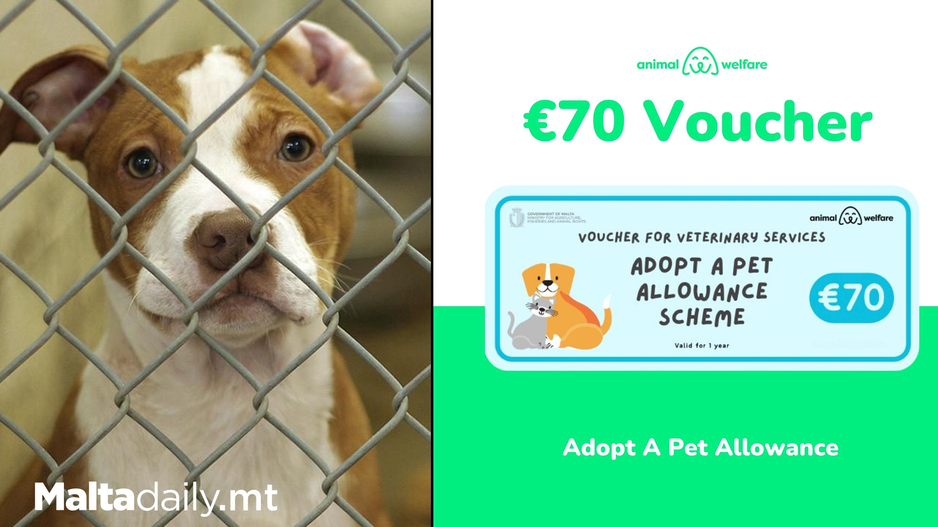 €70 Vouchers To Encourage People To Adopt More Animals