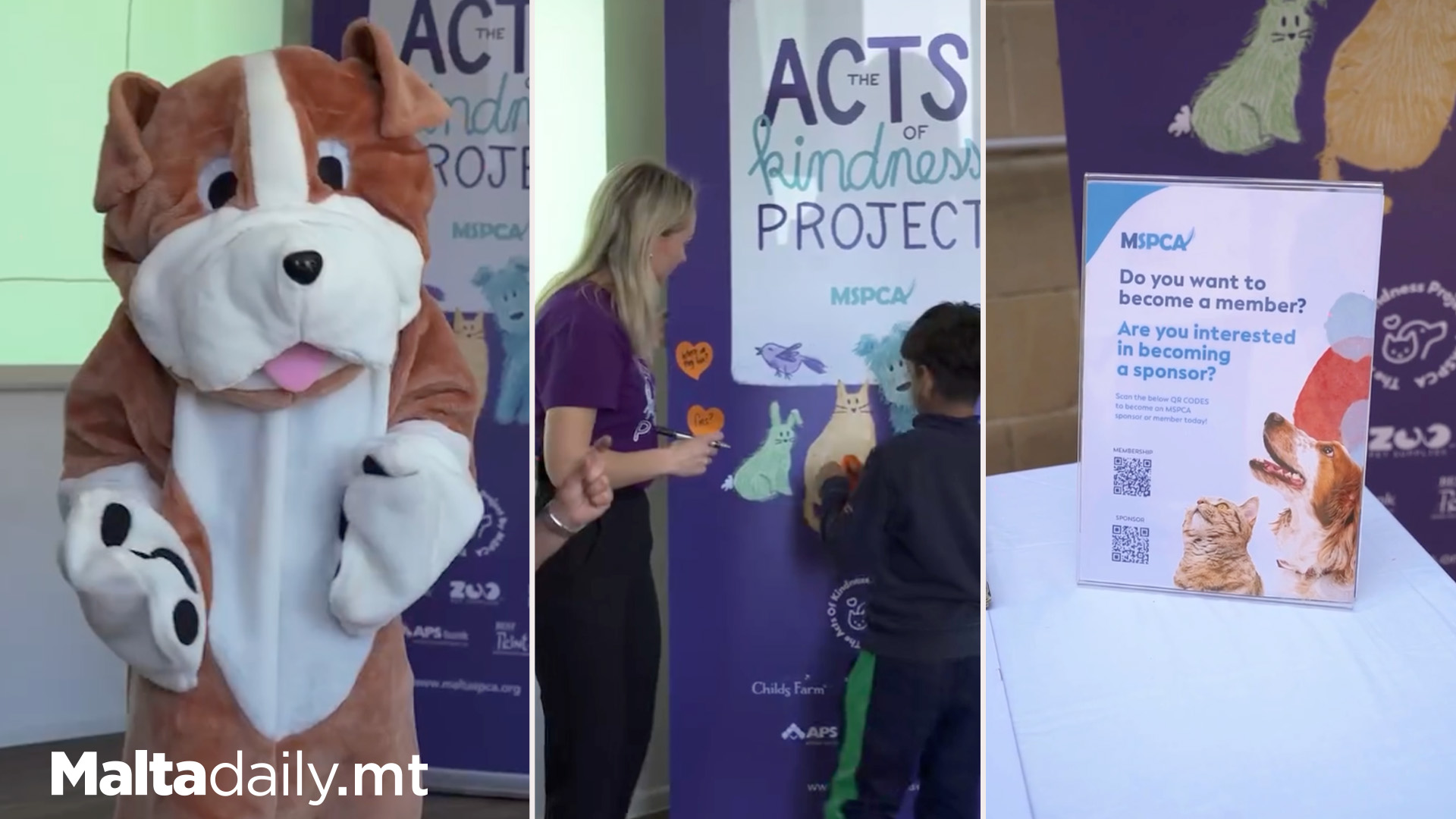 MSPCA's Acts Of Kindness Project