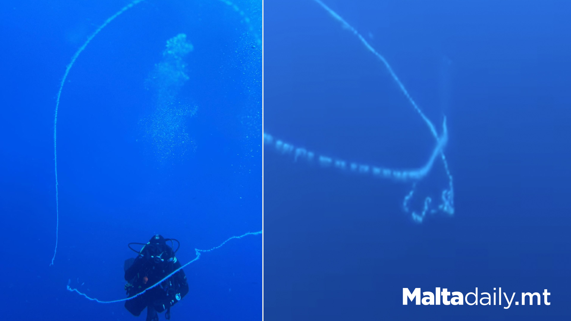 3 Metre Long Barbed Wire Jellyfish Spotted Near Gozo