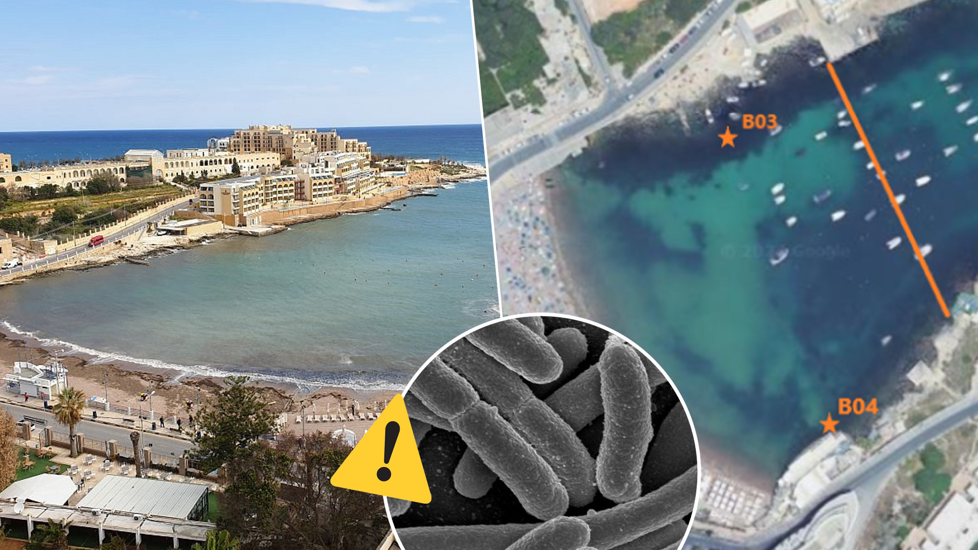 E. Coli Contamination In St George's Bay