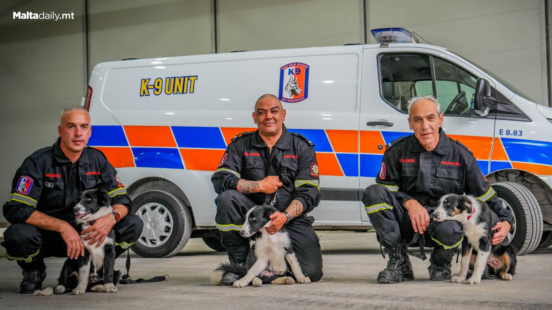 3 New Border Collies Join CPD Malta Training