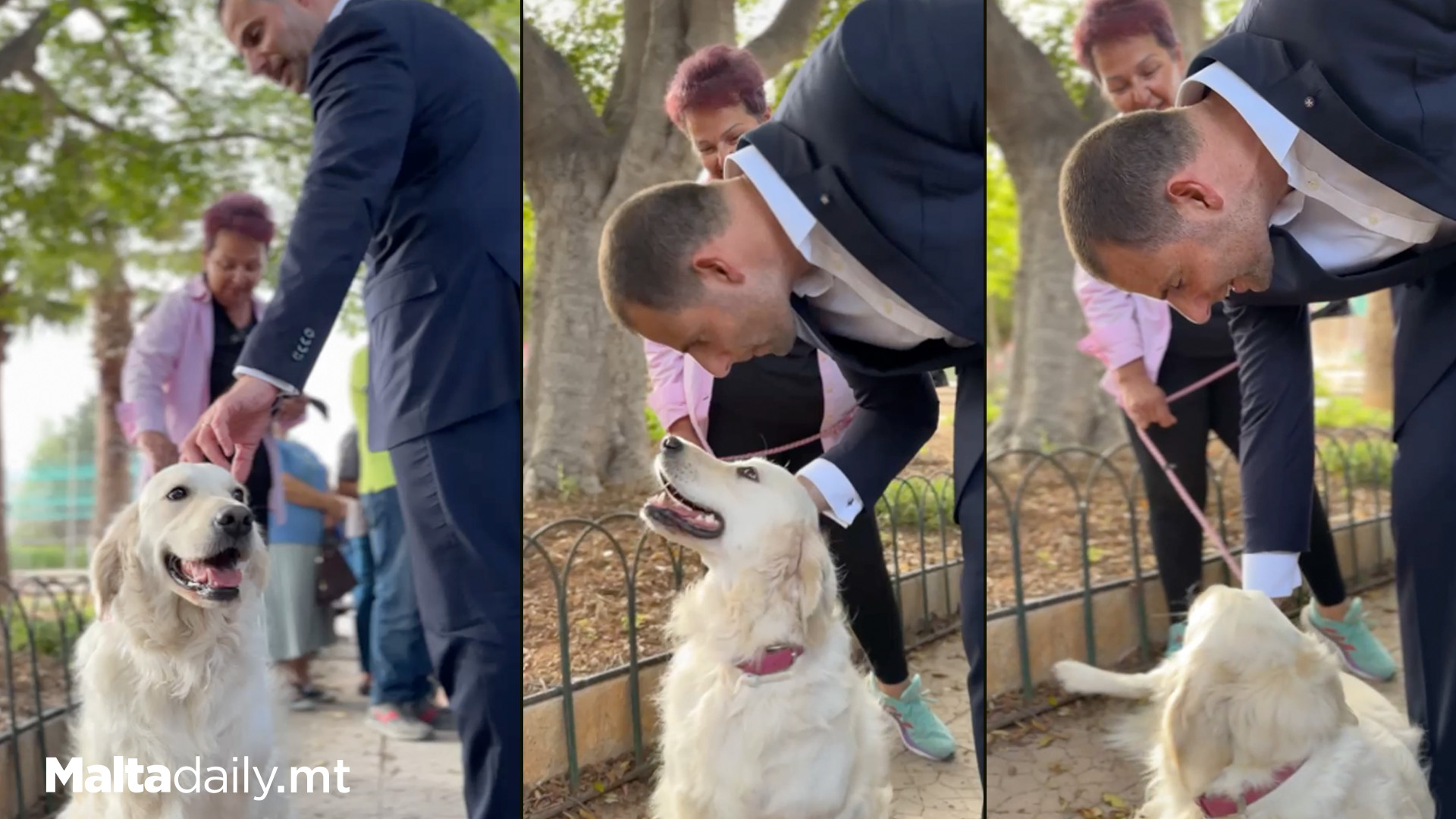 Adorable Dog Rolls Over For Prime Minister Belly Rubs