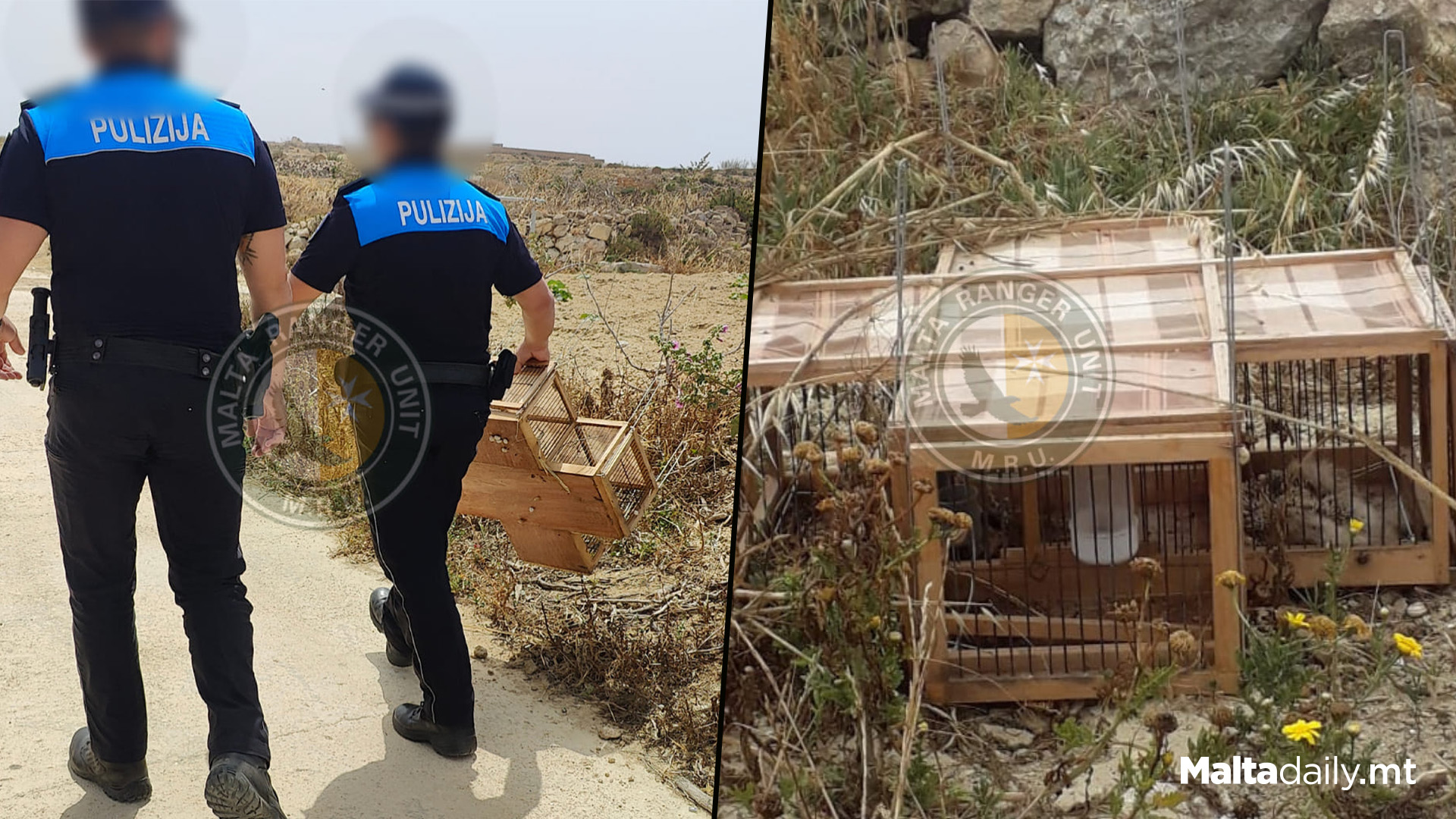 Local Police Confiscate Illegal Trap With Dead Hedgehog Inside