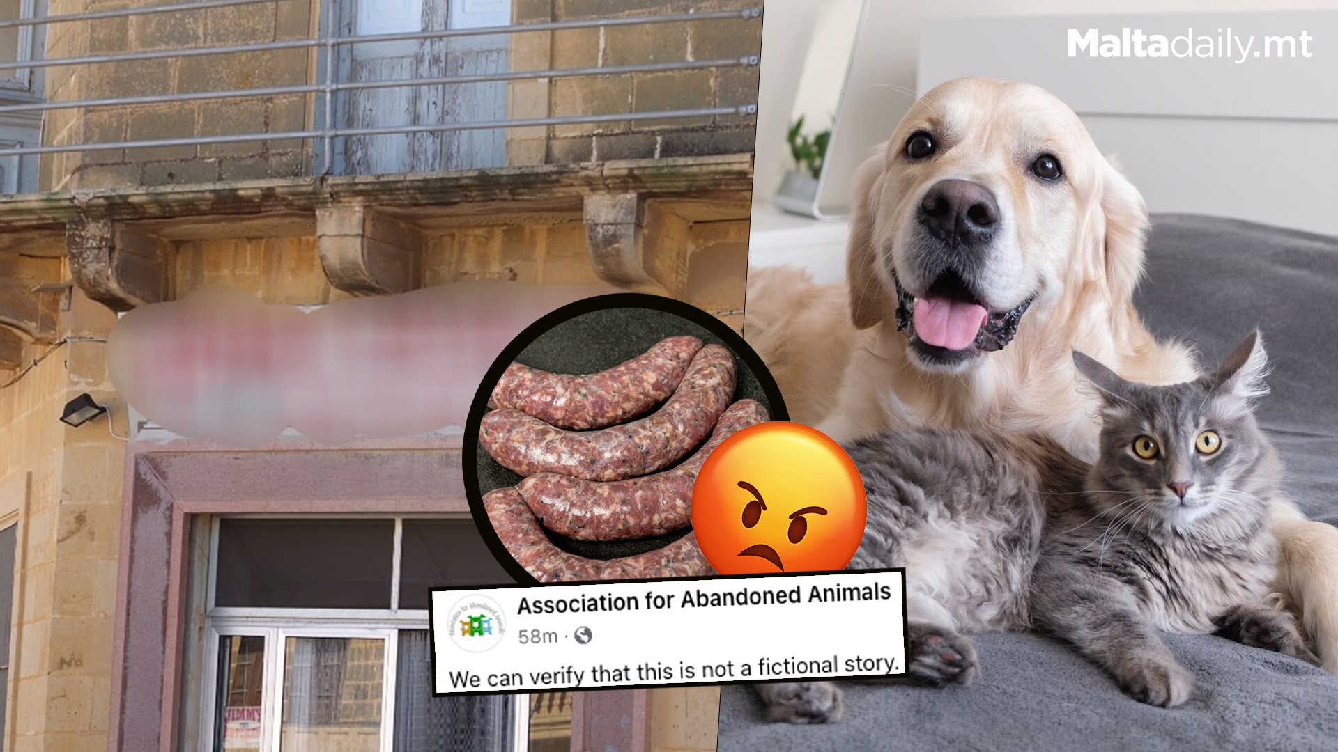 Butcher Turns Sick Cats & Dogs Into Sausage Meat: Customers Sick