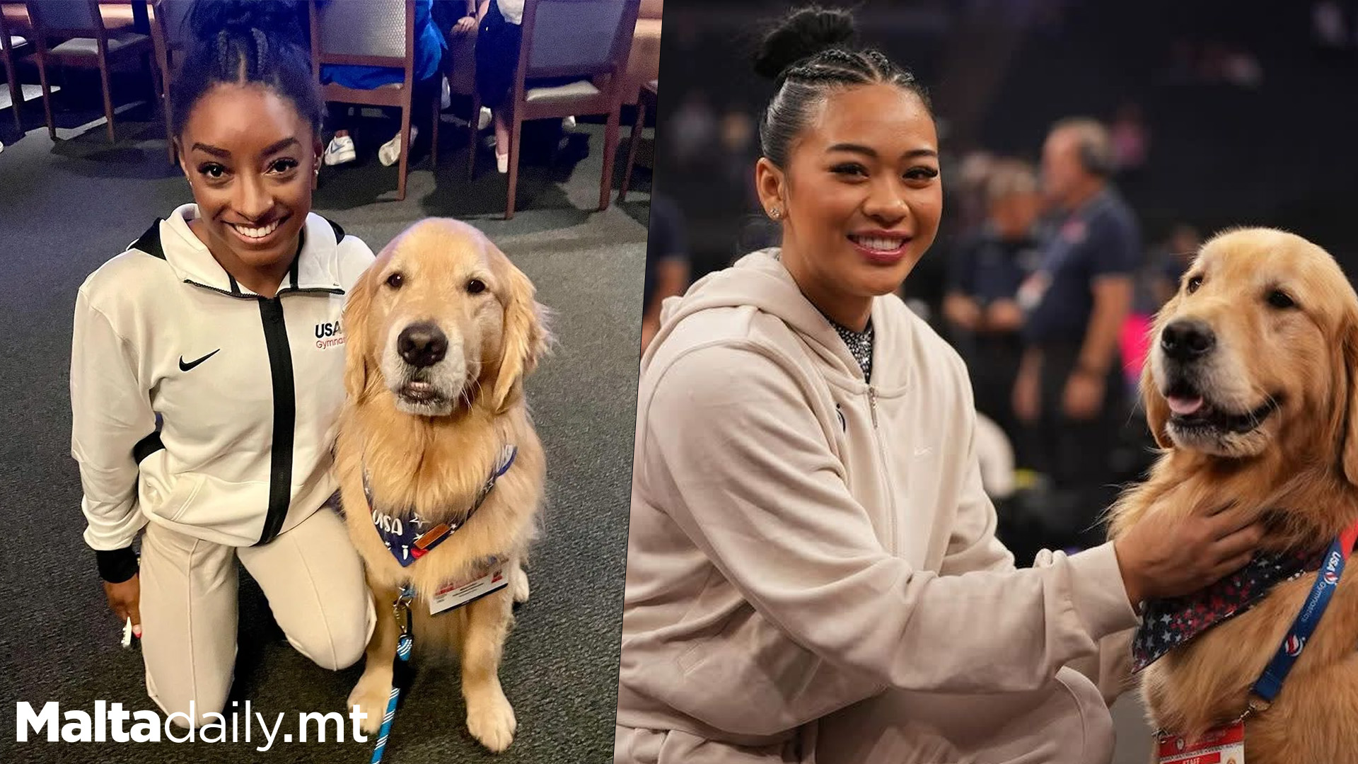 Meet Beacon, Team USA's Therapy Dog