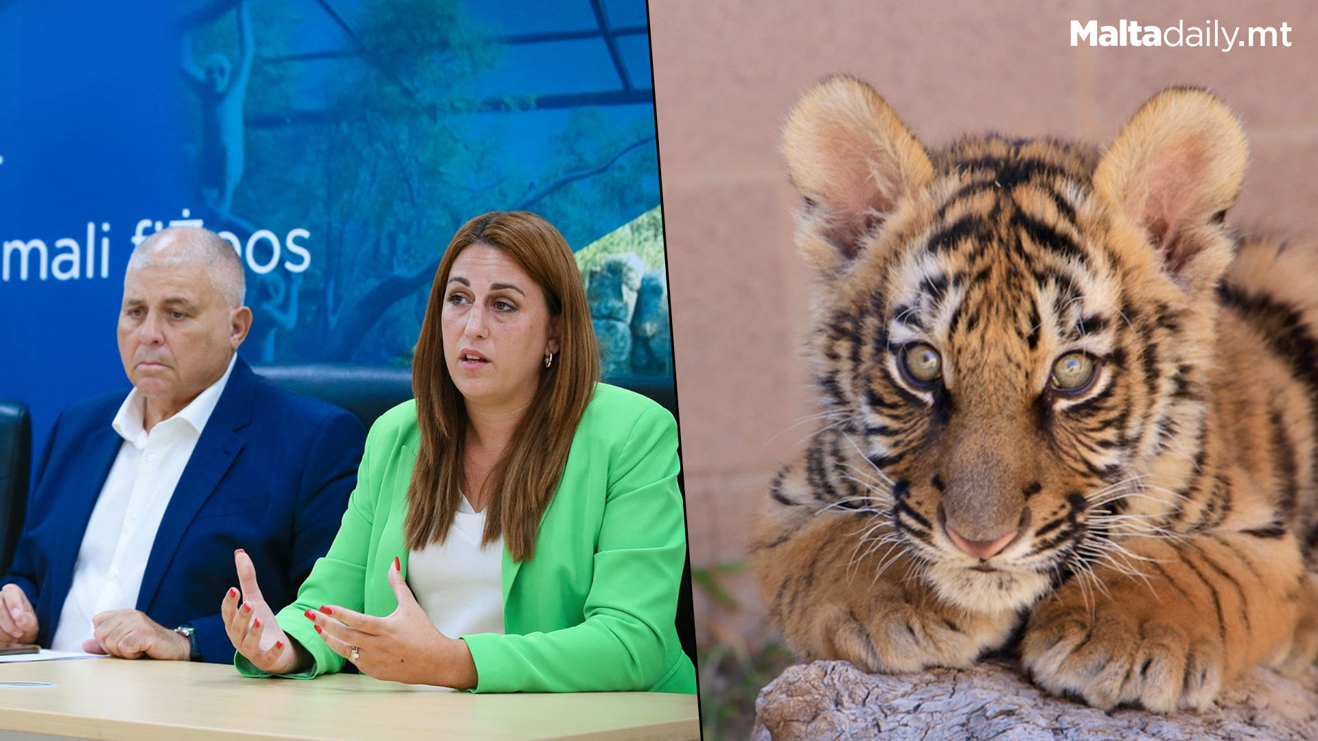 Human Interaction With Wild Zoo Animals Banned In Malta