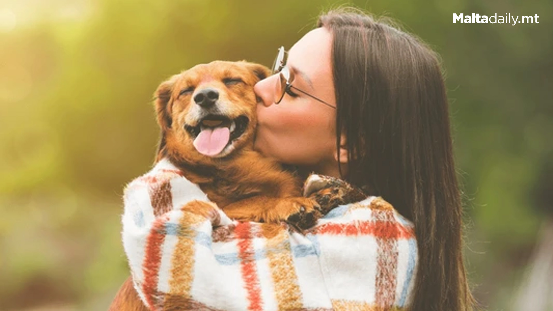 Dogs Get Teary Eyed When Reuniting With Owners, Says Study