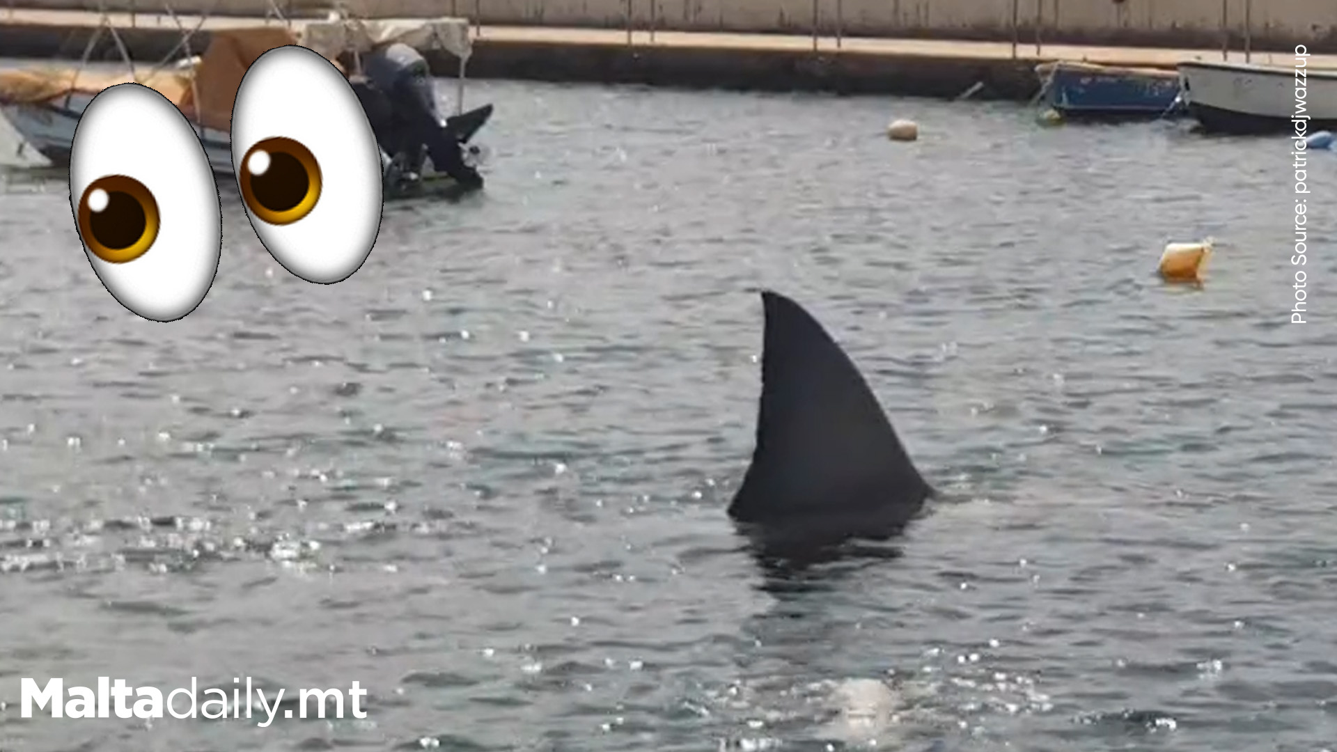 Massive ‘Shark Fin’ Spotted In Marsaskala’s St Thomas Bay