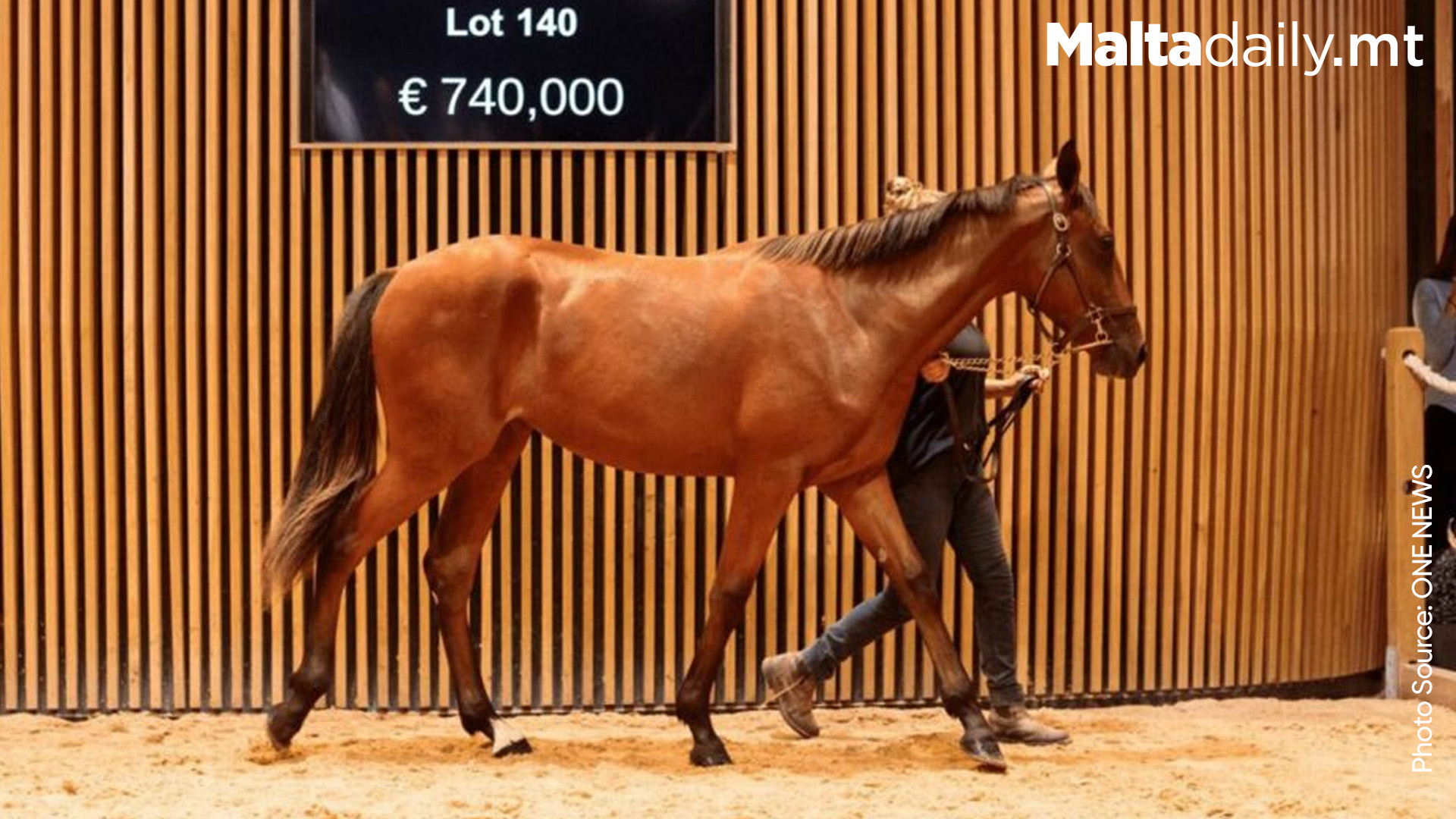 Maltese Man Buys A French Mare For €740,000