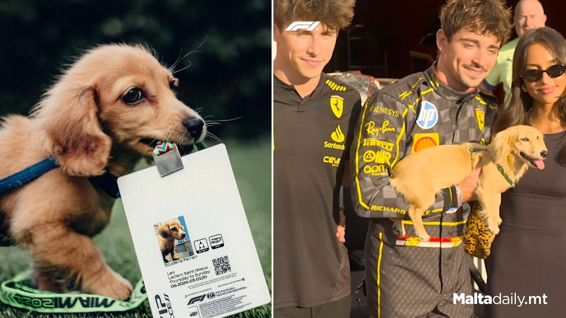 Leclerc's Dog Steals The Show In Adorable Reel