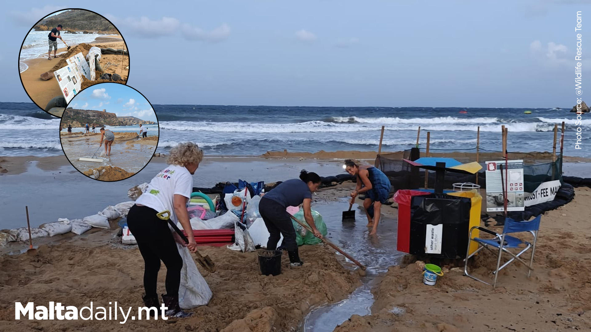 Wildlife Rescue Team Seeks Help to Protect Turtle Nests