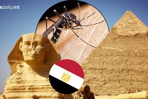 Egypt Declared Malaria Free