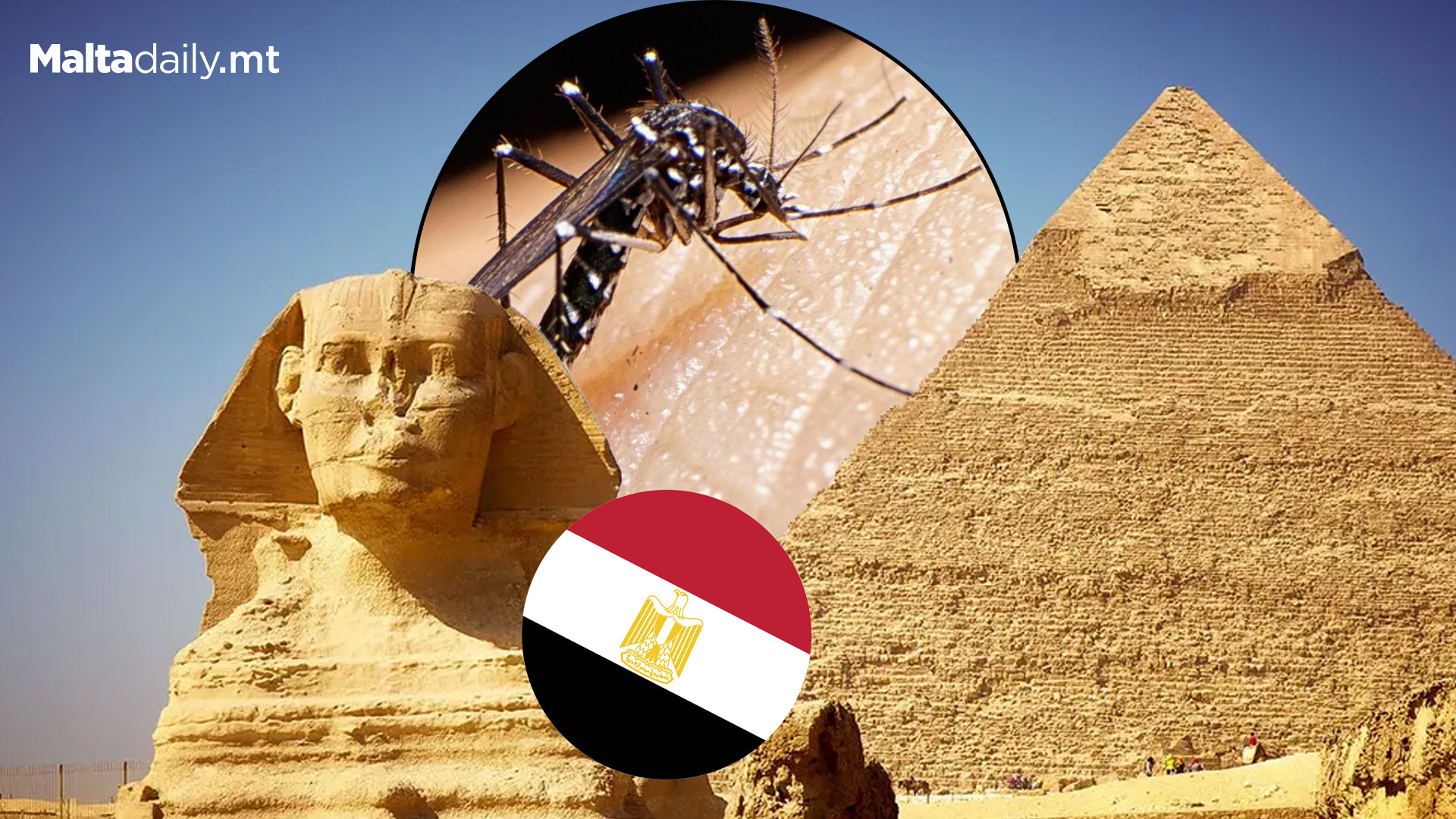 Egypt Declared Malaria Free