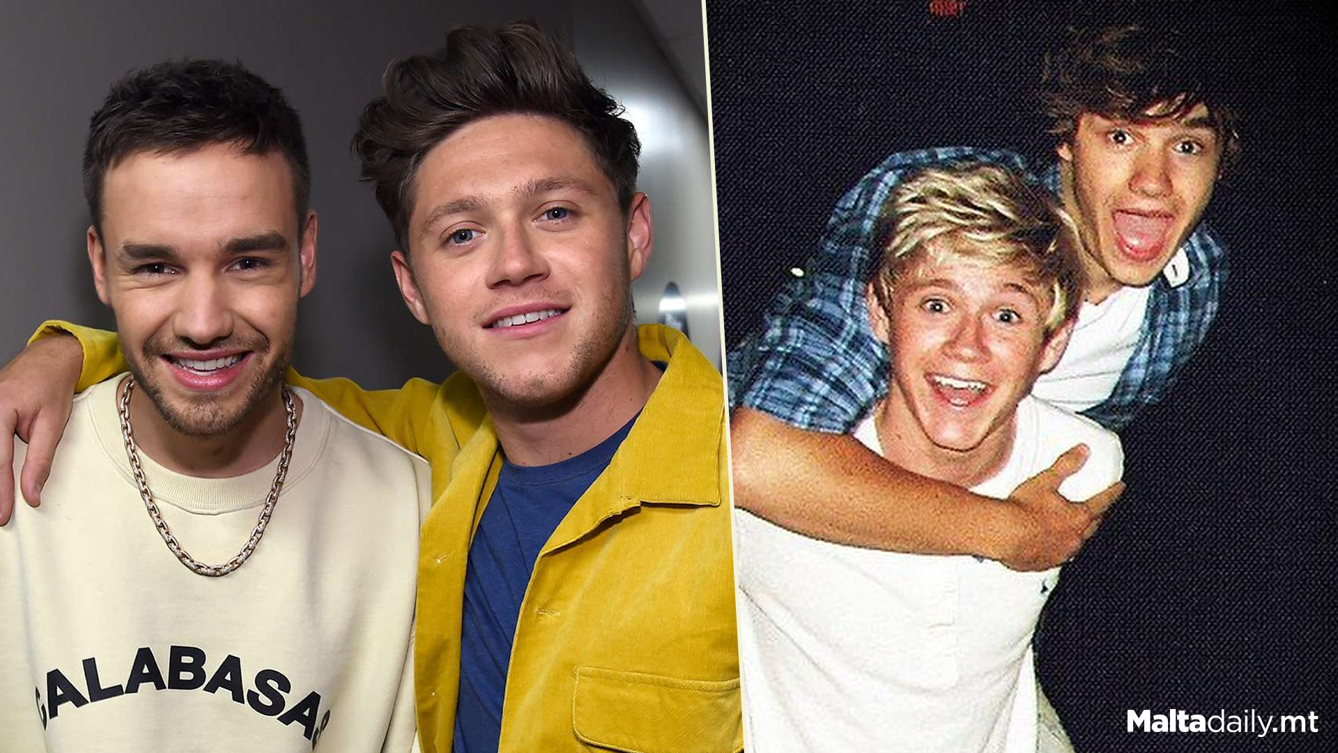 Niall Horan Breaks Silence After Liam Payne Passing