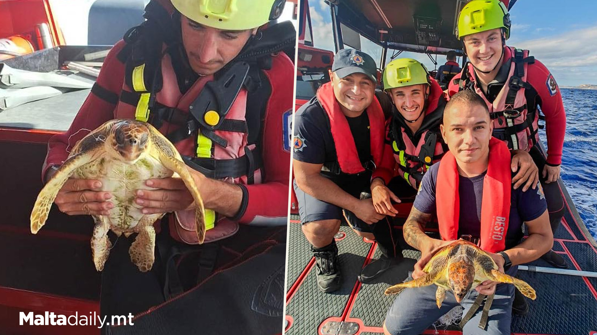 Turtle Caught In Net Rescued By CPD Rescuers