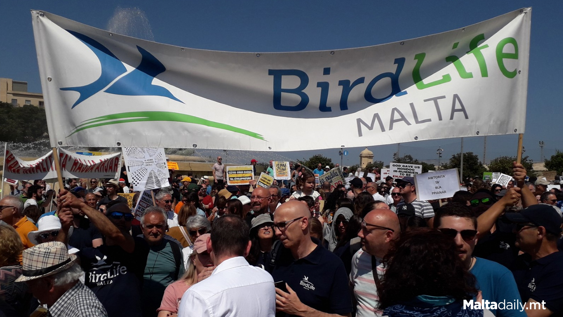 Environment NGOs Back Birdlife Malta Push To Uphold Rule Of Law