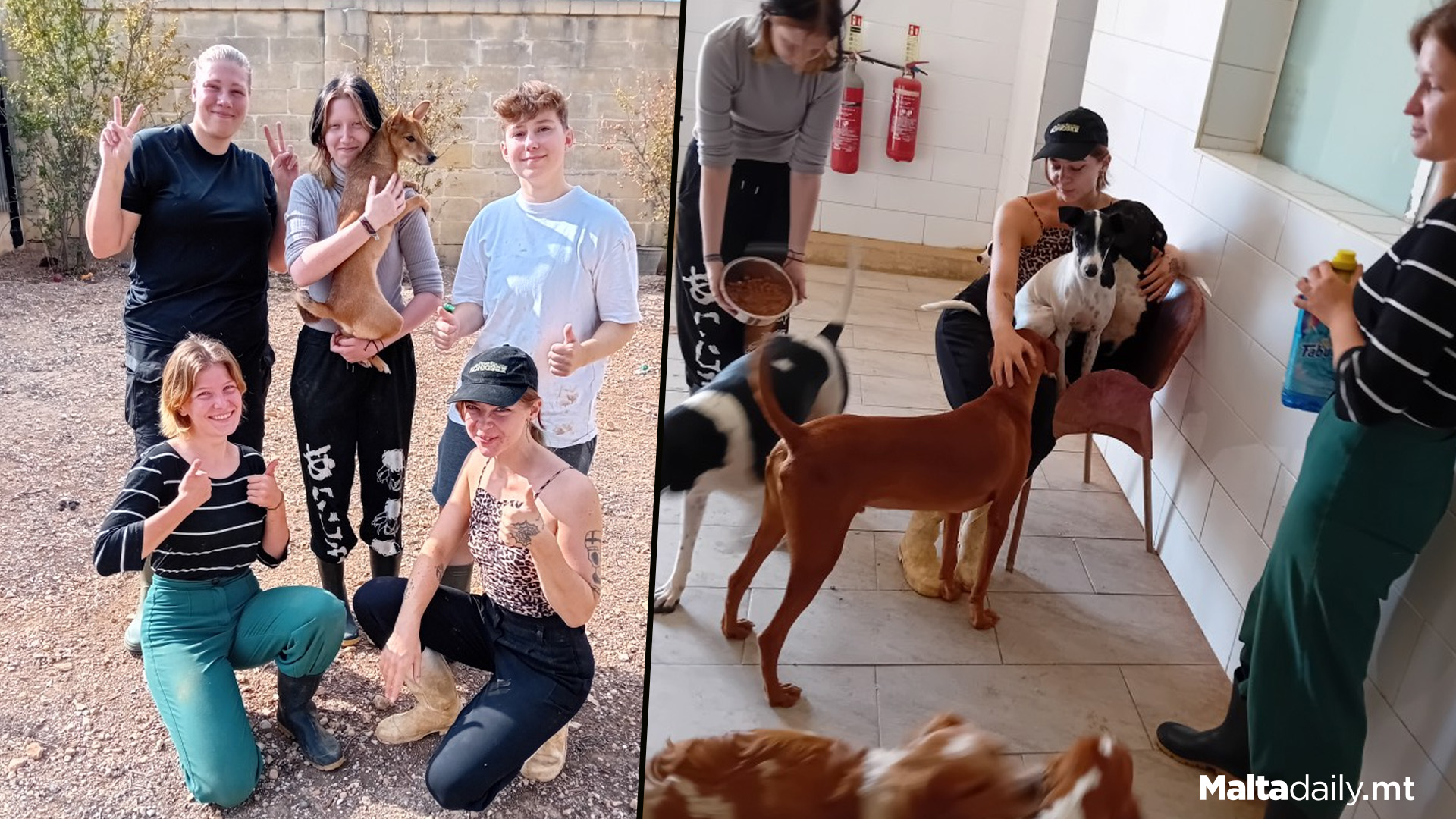 5 Youth From Germany Help Out At Local Animal Shelter