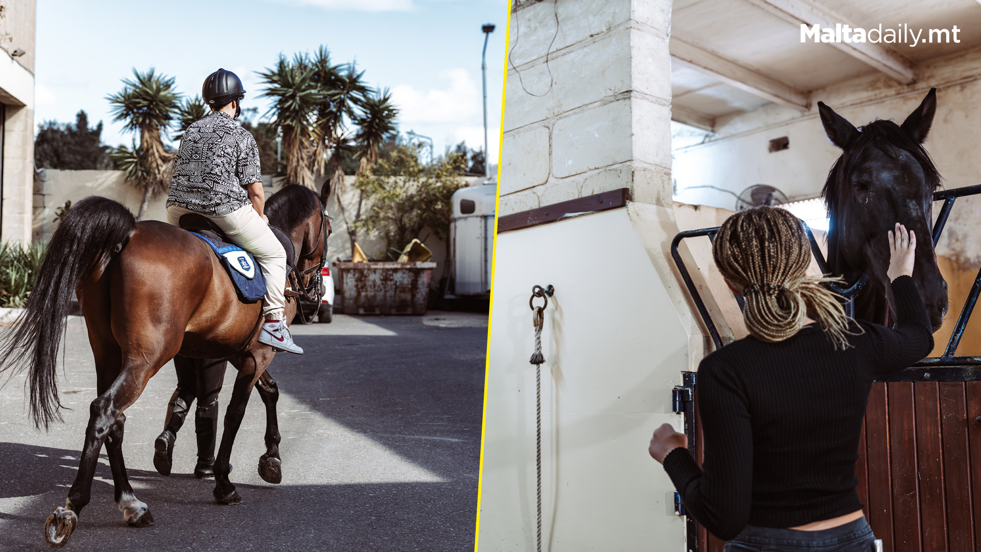 Youth Meet Malta Police Force's Horses