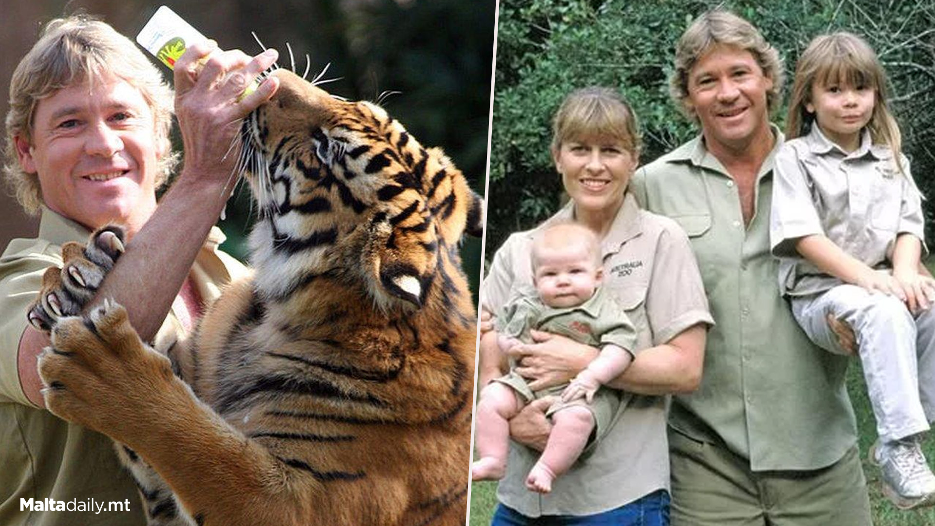 November 15th Is Steve Irwin Day