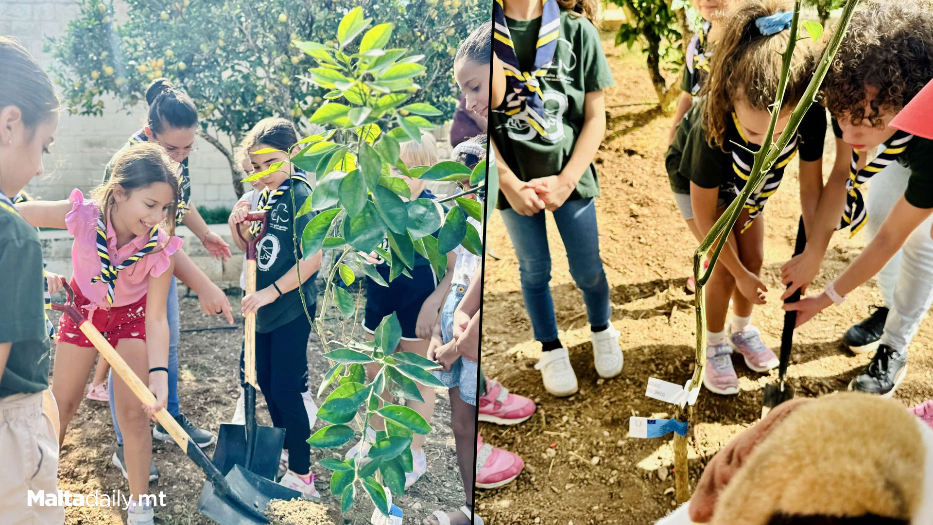 St Venera Girl Guides Plant 16 Trees At Romeo Romano