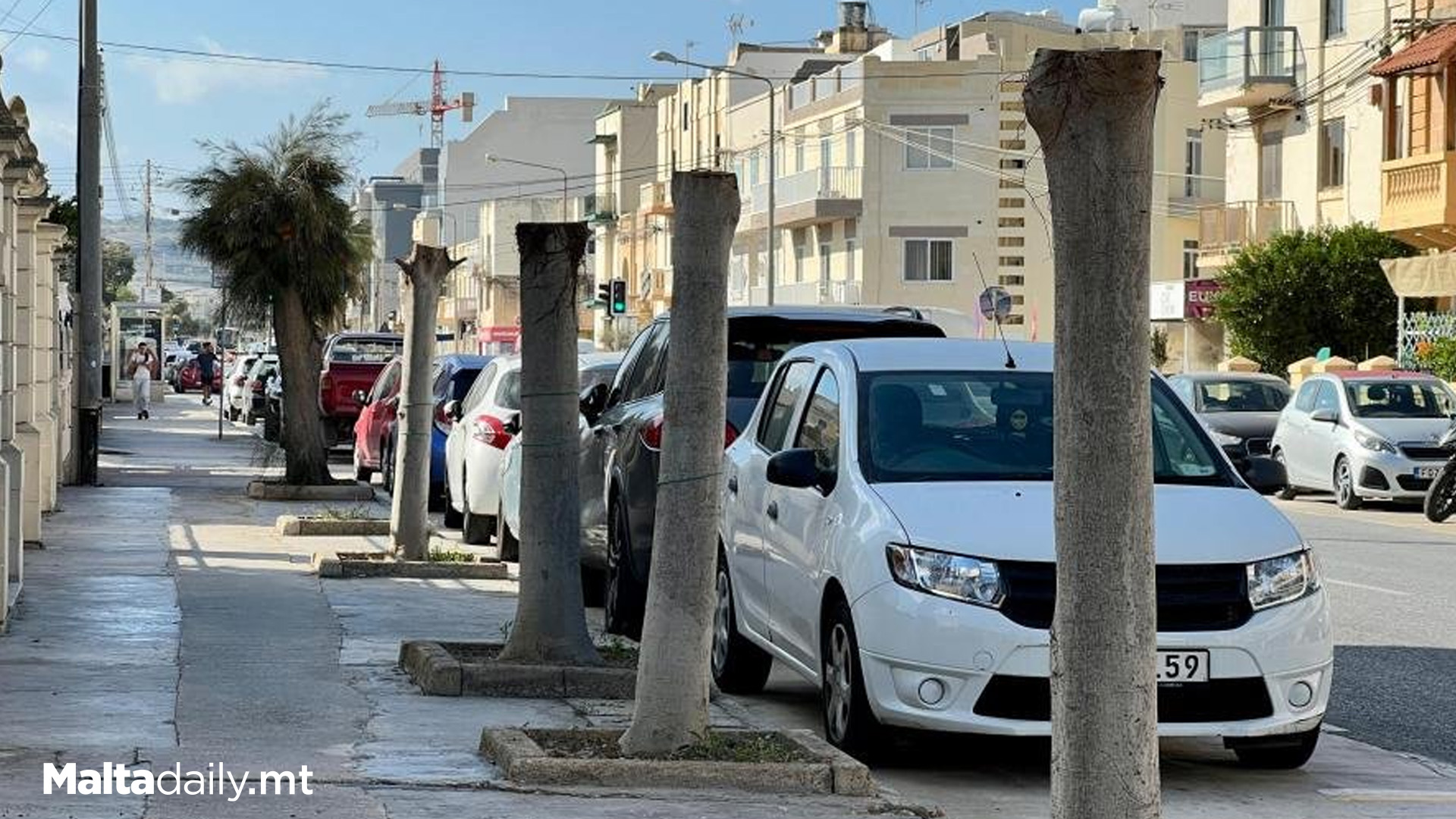 Police To Investigate Unauthorised Aggressive Mosta Tree Pruning