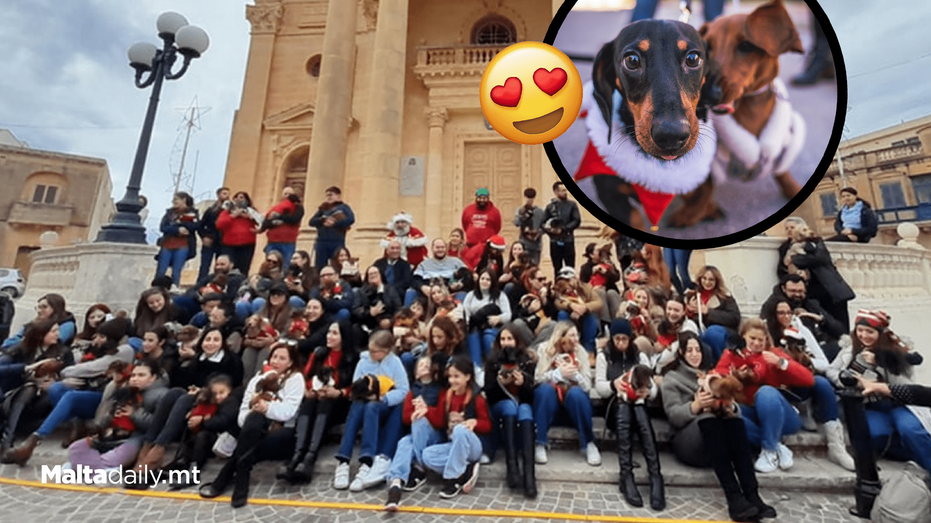 Malta’s Biggest Sausage Dog Meetup Breaks Records Again